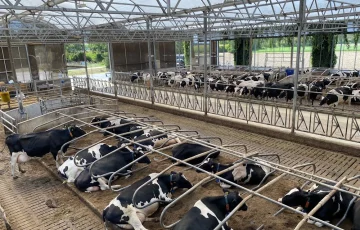 Modern ve dayanıklı tarımsal yapılar, çiftçilik ve hayvancılık faaliyetleriniz için sürdürülebilir çözümler sunuyoruz